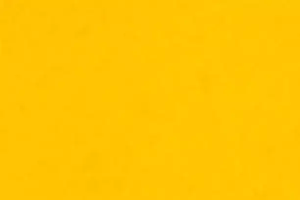Welcome to flowers TV prime channel